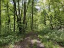 Chemin qui mène à la Voie Verte